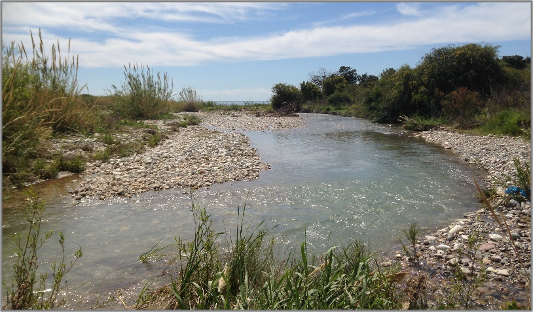 Υγρότοποι: Εκβολές ποταμών Έζουσας, Ξερού και Διαρίζου, Πάφος, Κύπρος.