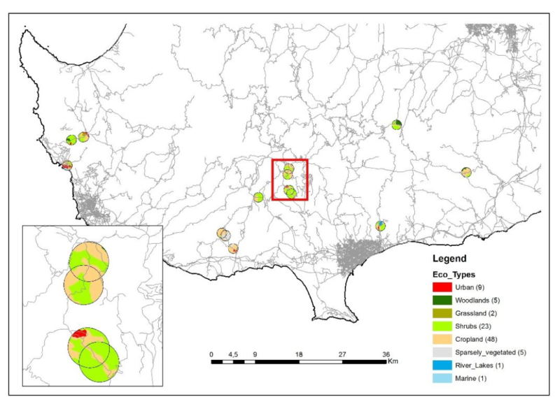 A citizen science approach to assess the impact of roads on reptile mortality in Cyprus