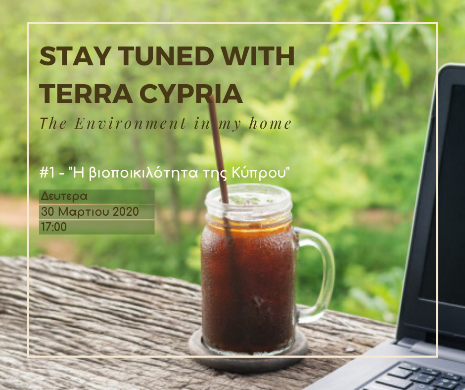 Stay Tuned: The Biodiversity of Cyprus and its importance