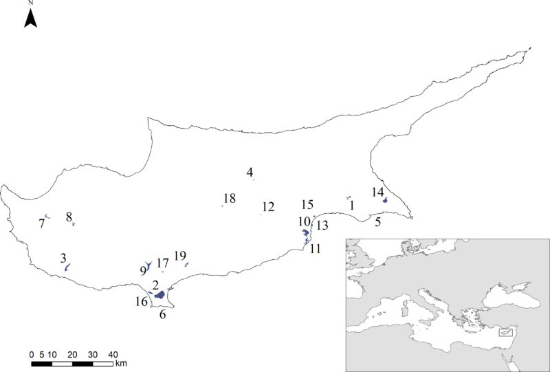 The importance of artificial wetlands for birds: A case study from Cyprus