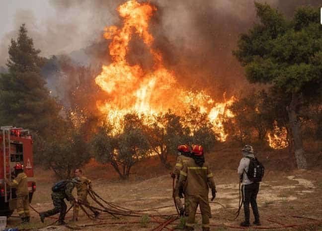 Increasing fires: Mediterranean ecosystems and what weakens them