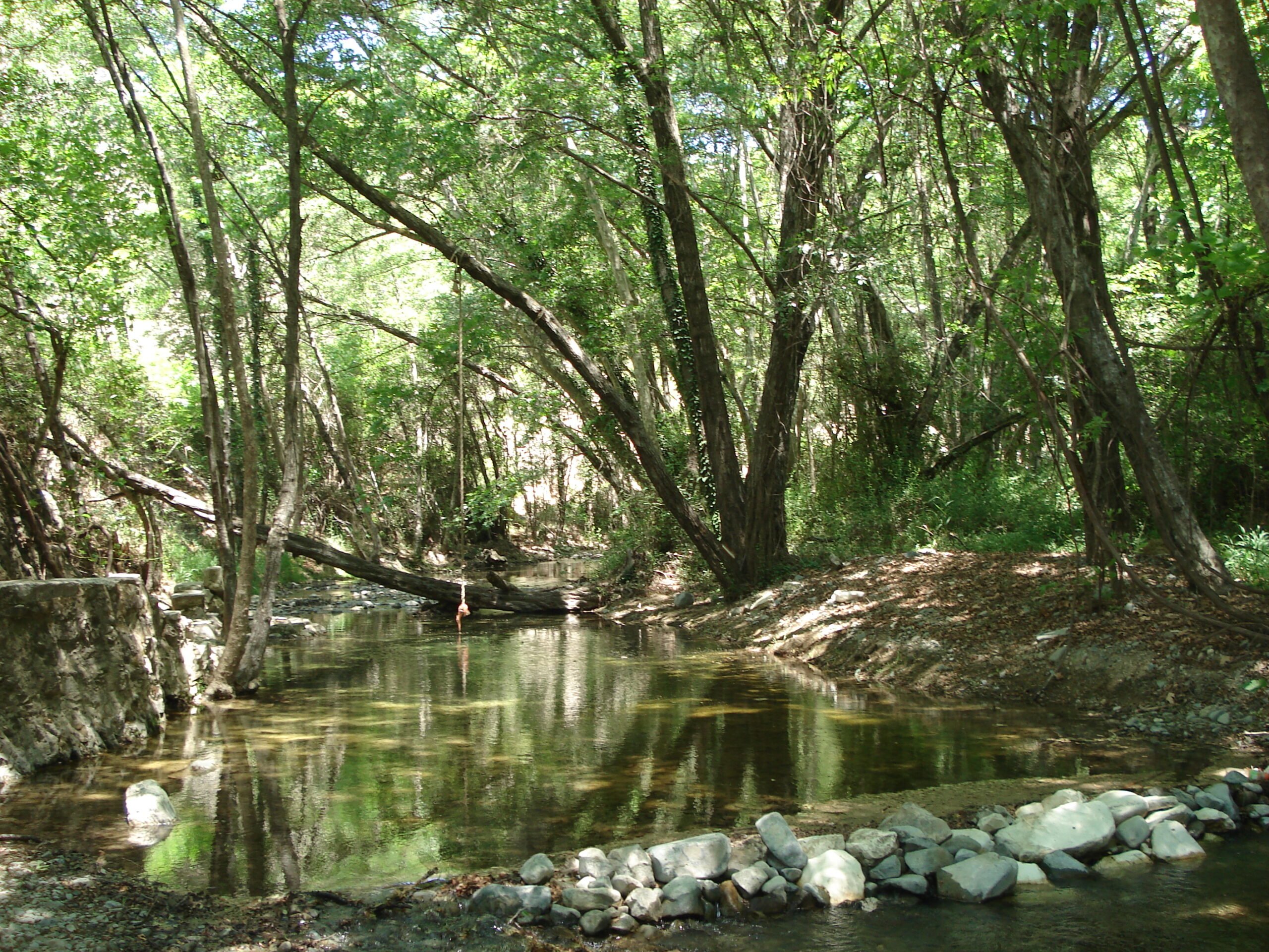 The European Council formally adopted the regulation on nature restoration 