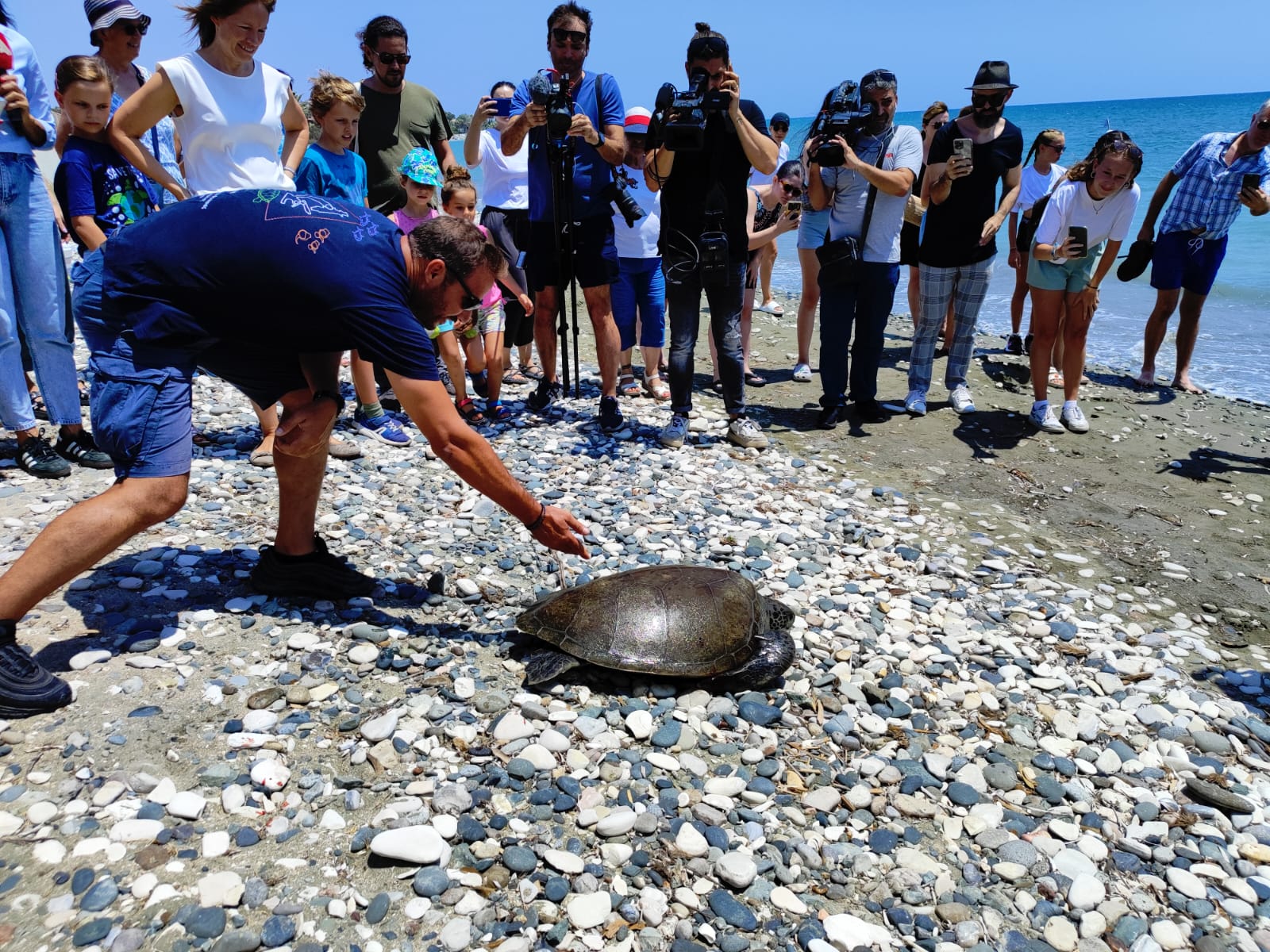 Lucy the turtle was released!