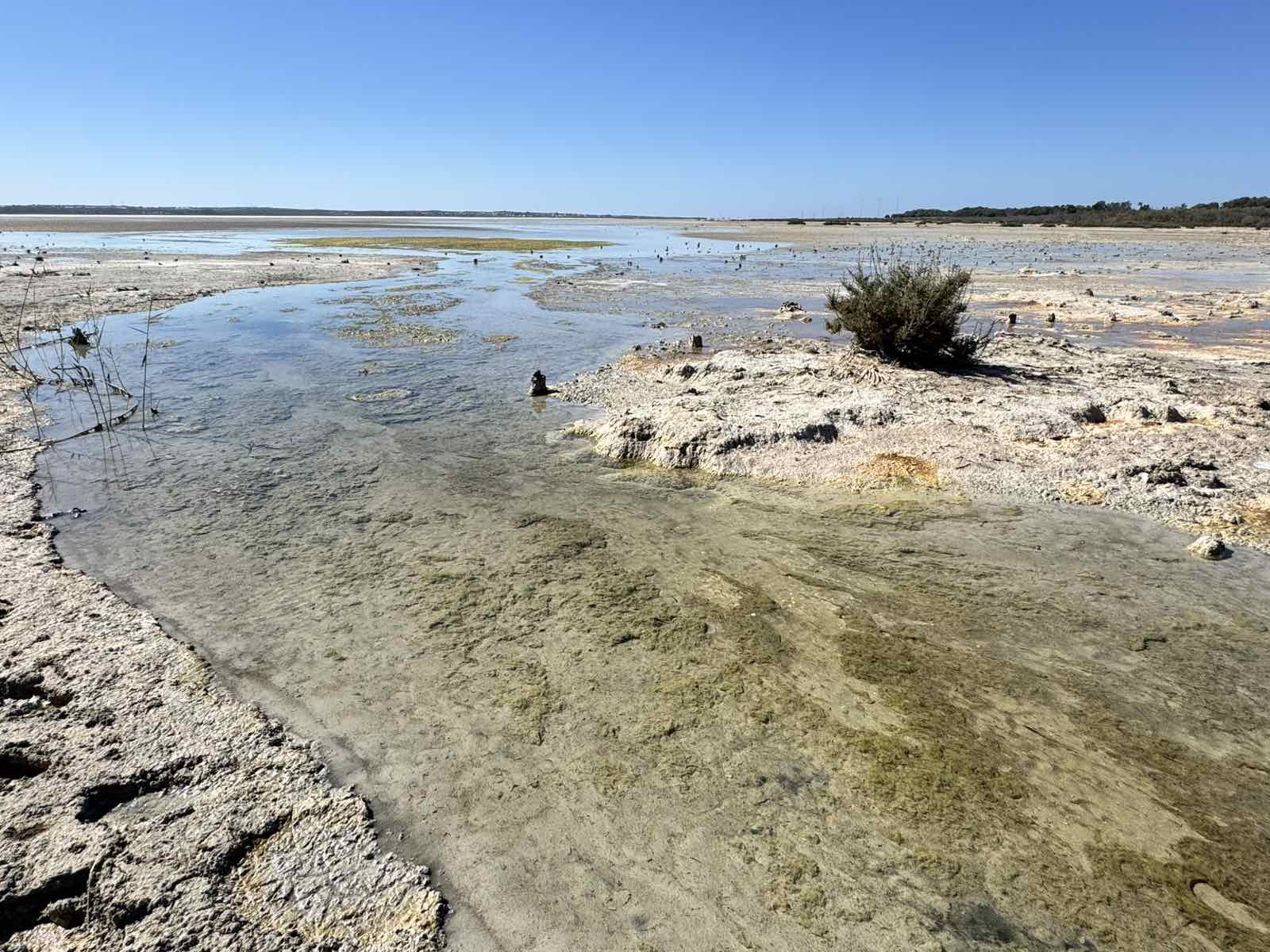 Mobilization regarding the pollution of Akrotiri Wetland