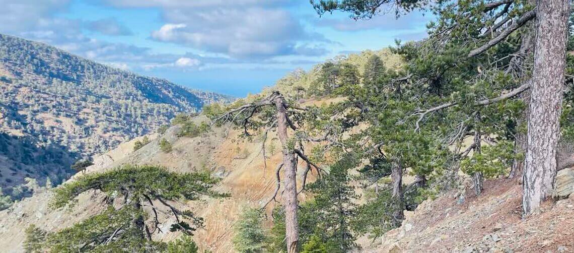 Educational hike in Troodos