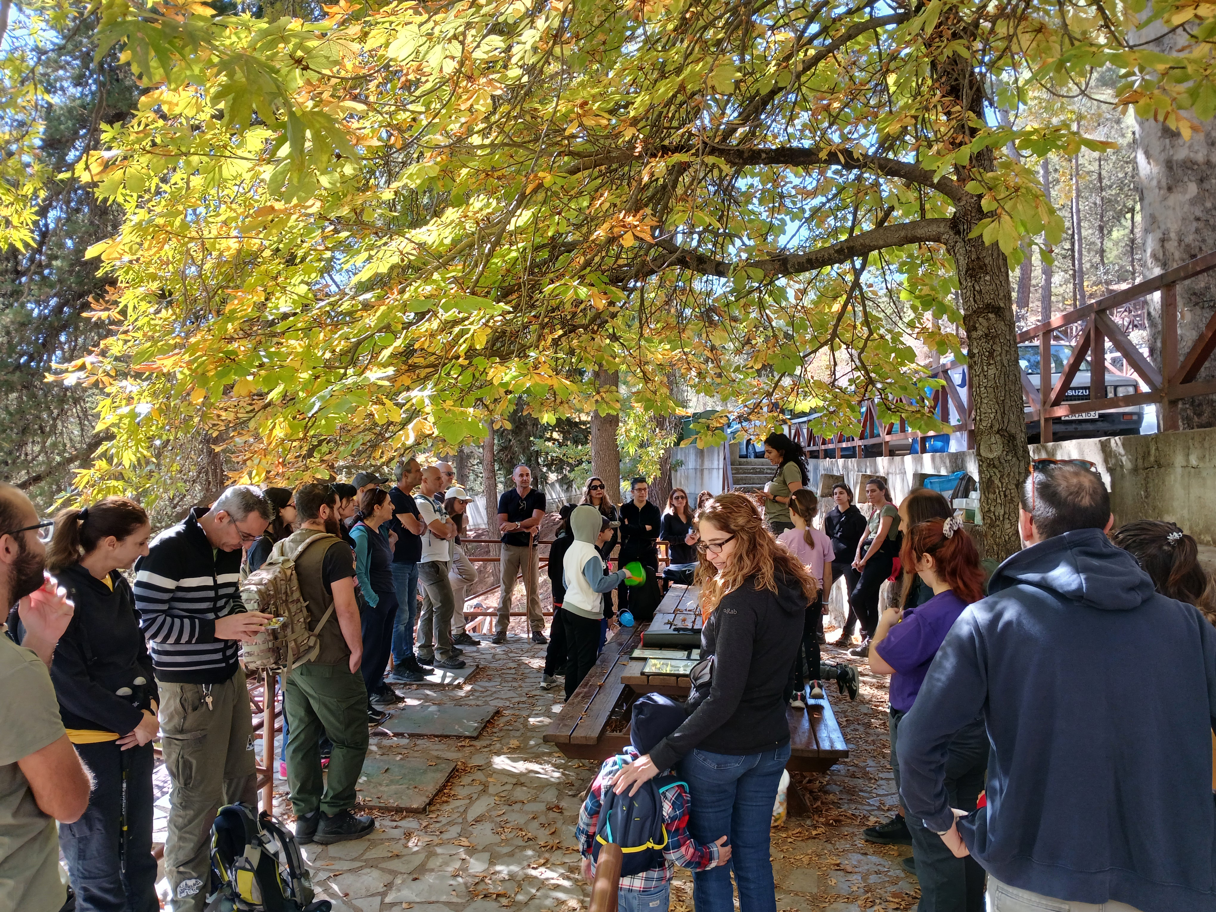 Celebrating World Reptile Day in the Machairas Forest